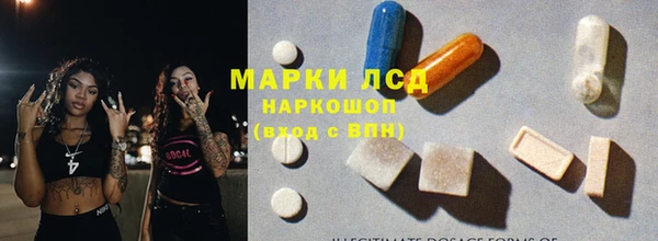 гашик Богородск